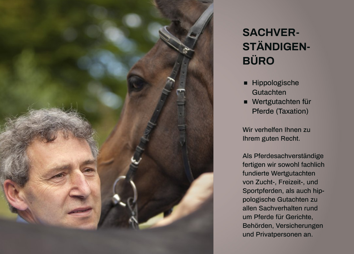 Grafikdesign Mengerskirchen 3